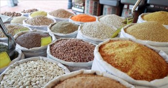 Mart ve Nisan yağışları hububata olumlu yansıdı