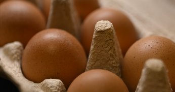 Alınan kararlar yumurta fiyatlarını aşağı çekti