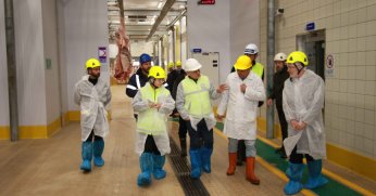 TSE’den Büyükşehir mezbahasına tam not