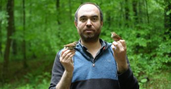 Bülbülün göç sırrı ortaya çıkıyor