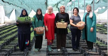 Ata tohumu fideleri ile tarıma destek