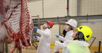 Kurban kesim hizmeti için başvurular başlıyor