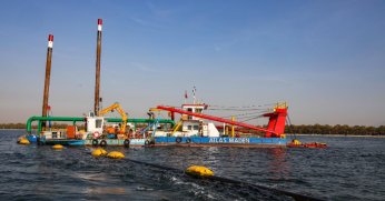 Temizlenen Körfez’de  dev mırmır sevinci   