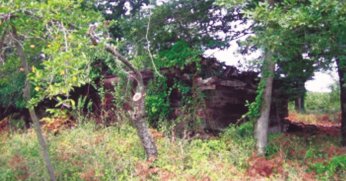 700 yıllık tarihi miras yeniden hayat buluyor