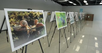 Ormanya’da ‘Türkiye’nin Doğası’ temalı sergi