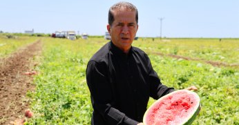 Hasadı süren karpuzun kilosu 9-10 liraya geriledi