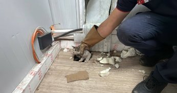 Prefabrik ofisin altında sıkışan kedi yavrusu kurtarıldı