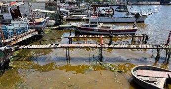 Körfez’de denizin kıyısı kahverengiye döndü