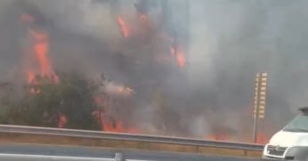 Ormana sıçrayan yangın 2 saatte söndürüldü