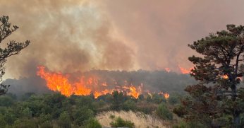 Kocaeli’de orman yangını