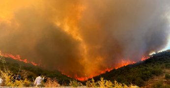 Orman yangınında alevler yayıldı