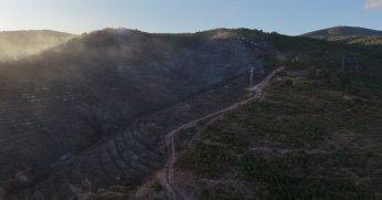Kocaeli’deki orman yangını söndürüldü