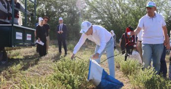 Sezonun ilk kekik hasadı