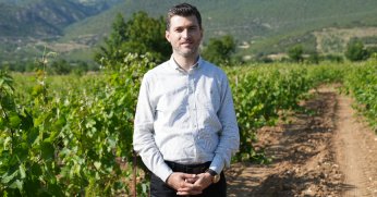 Don yaprağı geciktirdi ama üretim düşmedi