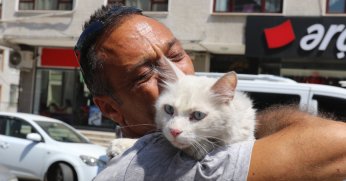 Kayıp kedisine kavuşunca bu kez mutluluktan ağladı