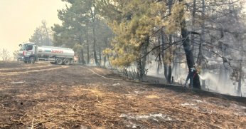 Büyükşehir’den Bursa’daki yangına tam destek