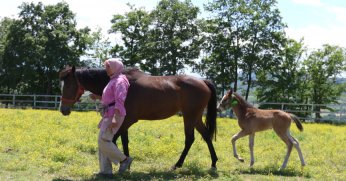 Yaşları küçük, değerleri milyon