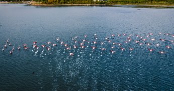 Fotoğraf yarışmasına başvurular başladı
