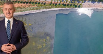 Körfez’de mavi dönüşüm