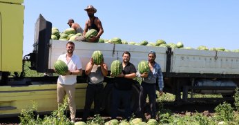 Karpuz tarlada 2, markette 8,5 TL