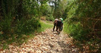 Derenin kuruduğunu ilk kez gördüler