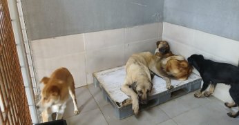 Gölcük Belediyesi’nden önemli açıklama