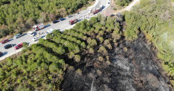 Umuttepe’deki orman yangını büyümeden söndürüldü