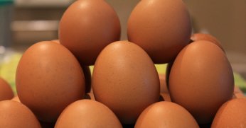 Okulların açılması yumurtayı ‘Mayıs çukuru’ndan kurtaracak