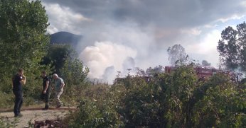 Sazlık alanda korkutan yangın