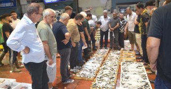 Yeni sezonun ilk balık mezadı yapıldı