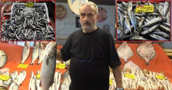 Sezon açıldı, tezgahlarda hamsi ve istavrit bolluğu