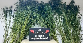 Uyuşturucu operasyonu: 1 tutuklama