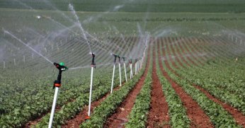 Bitkisel üretimde  destekler belirlendi