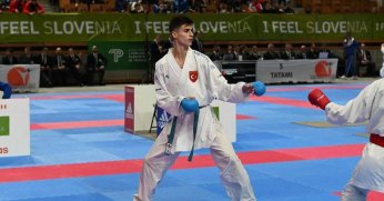 Mert Halıcı, Amerika yolcusu