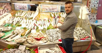 Balık çeşitliliğinde artış yaşanıyor