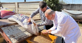 Seyyar selektör makinesi çiftçilerin hizmetinde