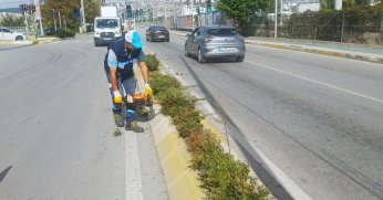 Büyükşehir’den budama çalışması