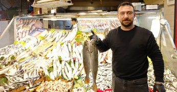 Balık tezgahlarında hamsi bolluğu