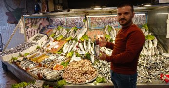 Hamsi ve istavritte bolluk yaşanıyor
