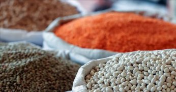 Güneydoğu’dan Afrika’ya hububat ihracatında artış