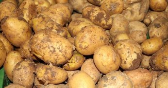 Bakanlıktan patates fiyatlarına dair açıklama