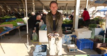 Pazarda zeytin ilgi görüyor