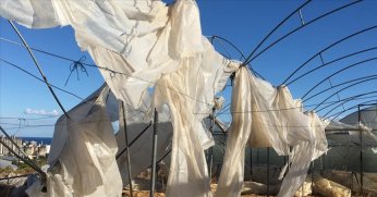 Üreticilere ekimde 11,6 milyar lira hasar tazminatı ödendi