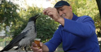 Karga ile dostluğu görenleri şaşırtıyor