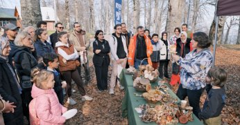 Mantarların gizemli dünyası keşfedildi