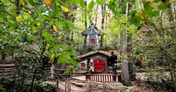 Ormanya’da huzur veren atmosfer