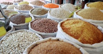 Güneydoğu’dan 10 ayda 2,9 milyar dolarlık hububat ihracatı