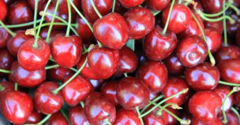 Dondurulmuş kirazda dünya lideriyiz