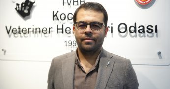 Boyalı köpekler merak uyandırdı