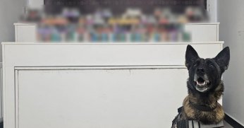 Kocaeli’de kaçakçılık operasyonu: 4 gözaltı